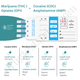 4-Drug Test Card for COC/AMP/THC/OPI  |  Abbott  DOA-244  25/Box